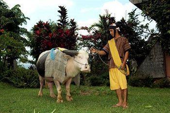 Hotel Toraja Heritage Rantepao